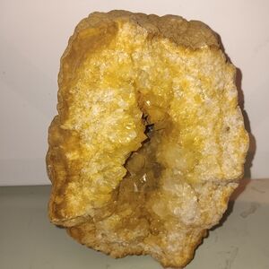 Geodized Cephlapod Fossil Geode Crystal Decor Specimen